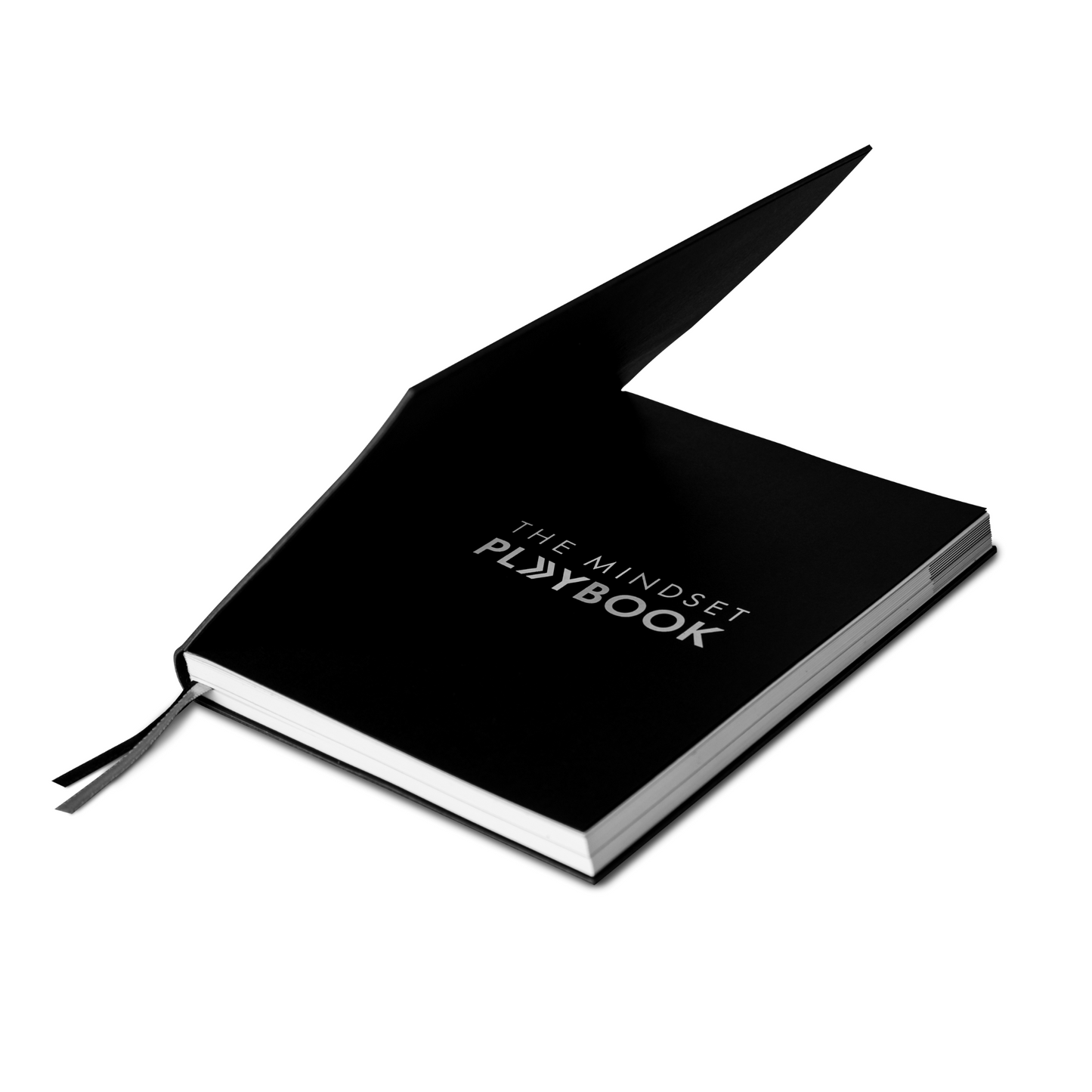 The Mindset Playbook